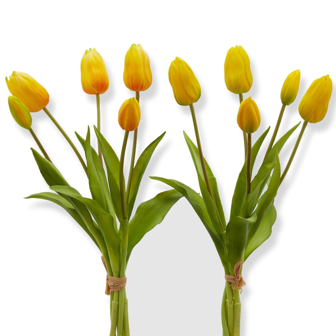 immagine-1-edg-enzo-de-gasperi-tulipano-olis-1-mazzo-da-5-pezzi-h40-yellow